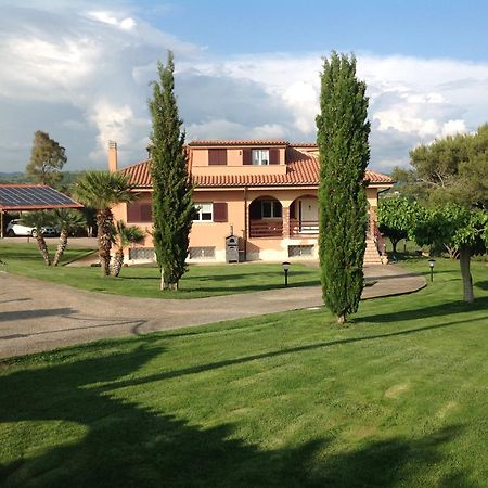 Bed & Breakfast La Volpe E L'Uva Santa Marinella Luaran gambar