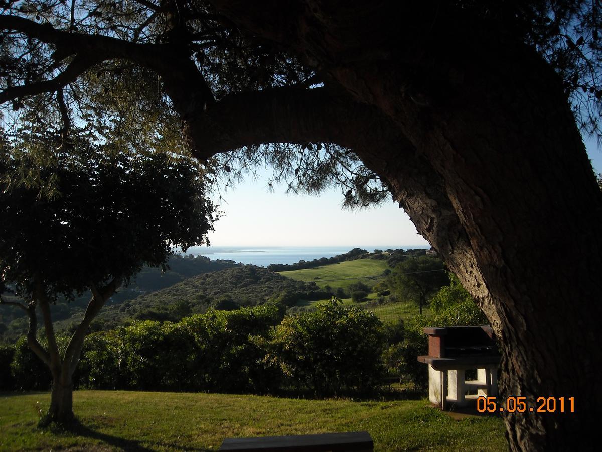 Bed & Breakfast La Volpe E L'Uva Santa Marinella Luaran gambar