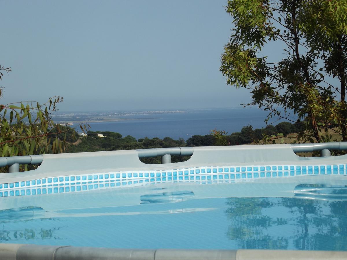 Bed & Breakfast La Volpe E L'Uva Santa Marinella Luaran gambar